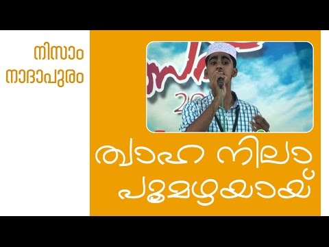 Thwaha nila poomazhayay | Nizam nadapuram | lyrics thwaha thangal