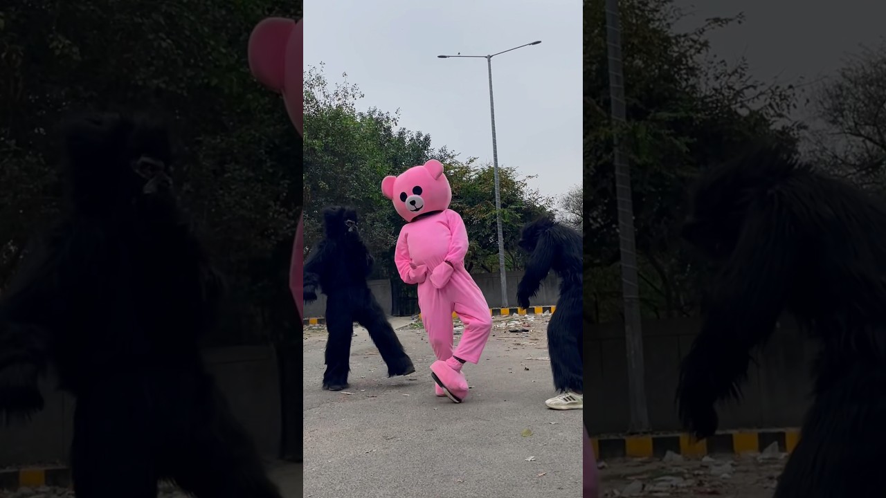 Teddy vs gorilla dance 💕 