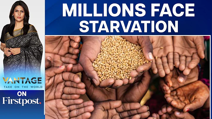 Is a Global Food Crisis Imminent? | Vantage with Palki Sharma - DayDayNews