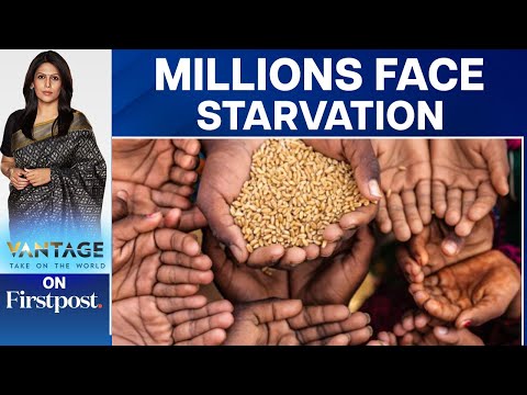Is a Global Food Crisis Imminent? | Vantage with Palki Sharma