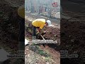 "MBG berhasil membuka lapangan pekerjaan 1 juta lalu bagaimana dengan koperasi Desa Merah Putih"