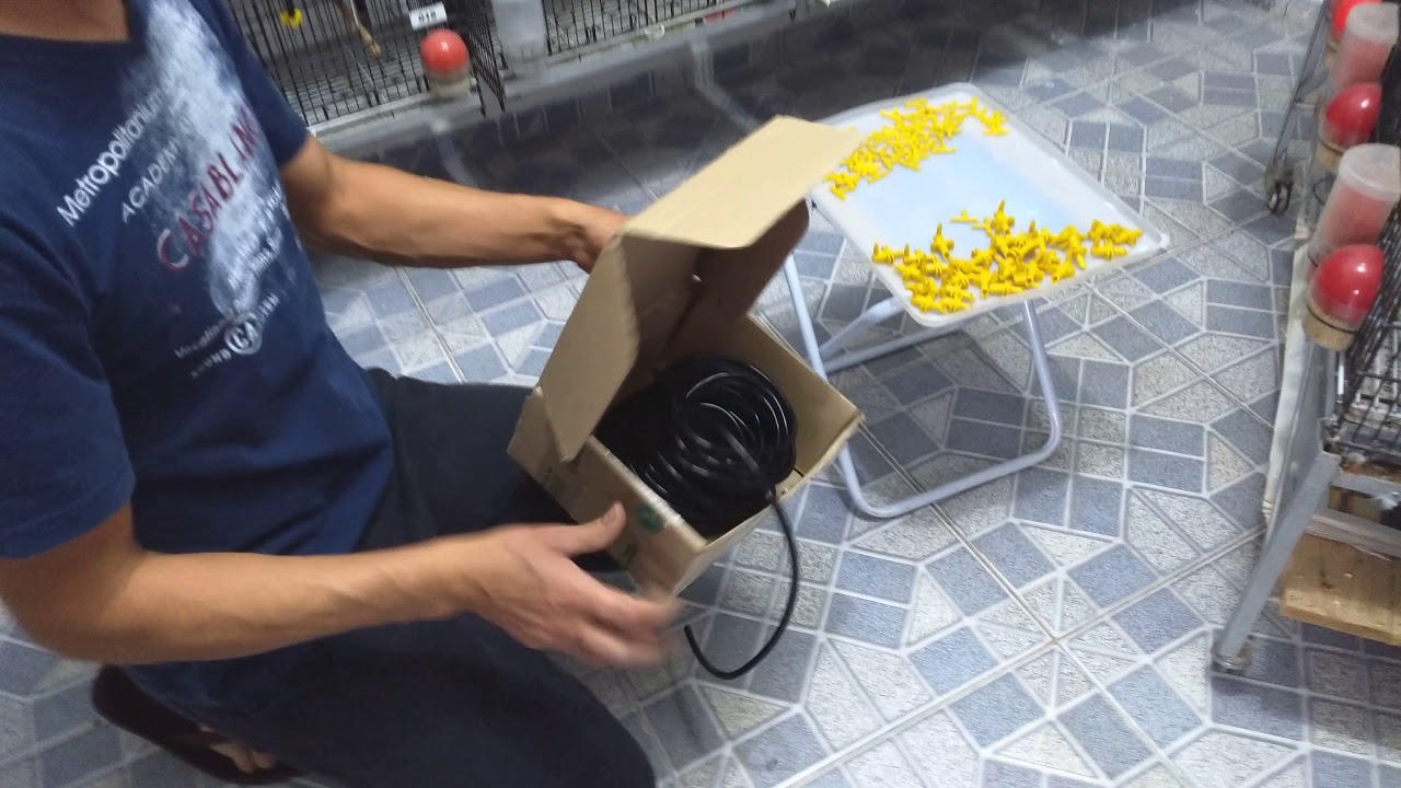 Instalação de bebedouros automático na voadeira