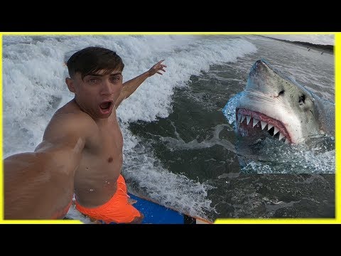 Surfanje sa morskim psima 😂/BALI#2
