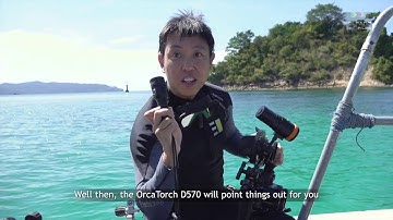 OrcaTorch D570-GL Laser Dive Light Review