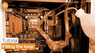 Filling the Loop