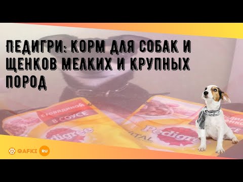 Педигри: корм для собак и щенков мелких и крупных пород