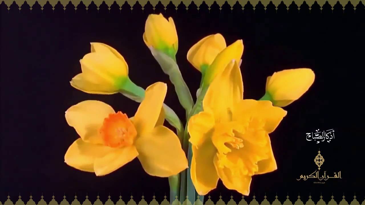 أذكار الصباح إذاعة القرآن الكريم من الدوحة Youtube