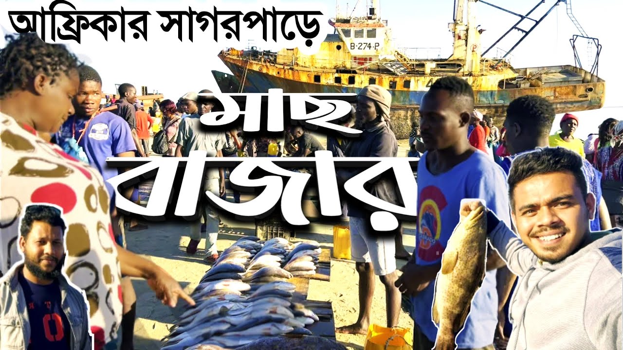Fish Market Beira | Mozambique Beach | Africa | Travel Vlog