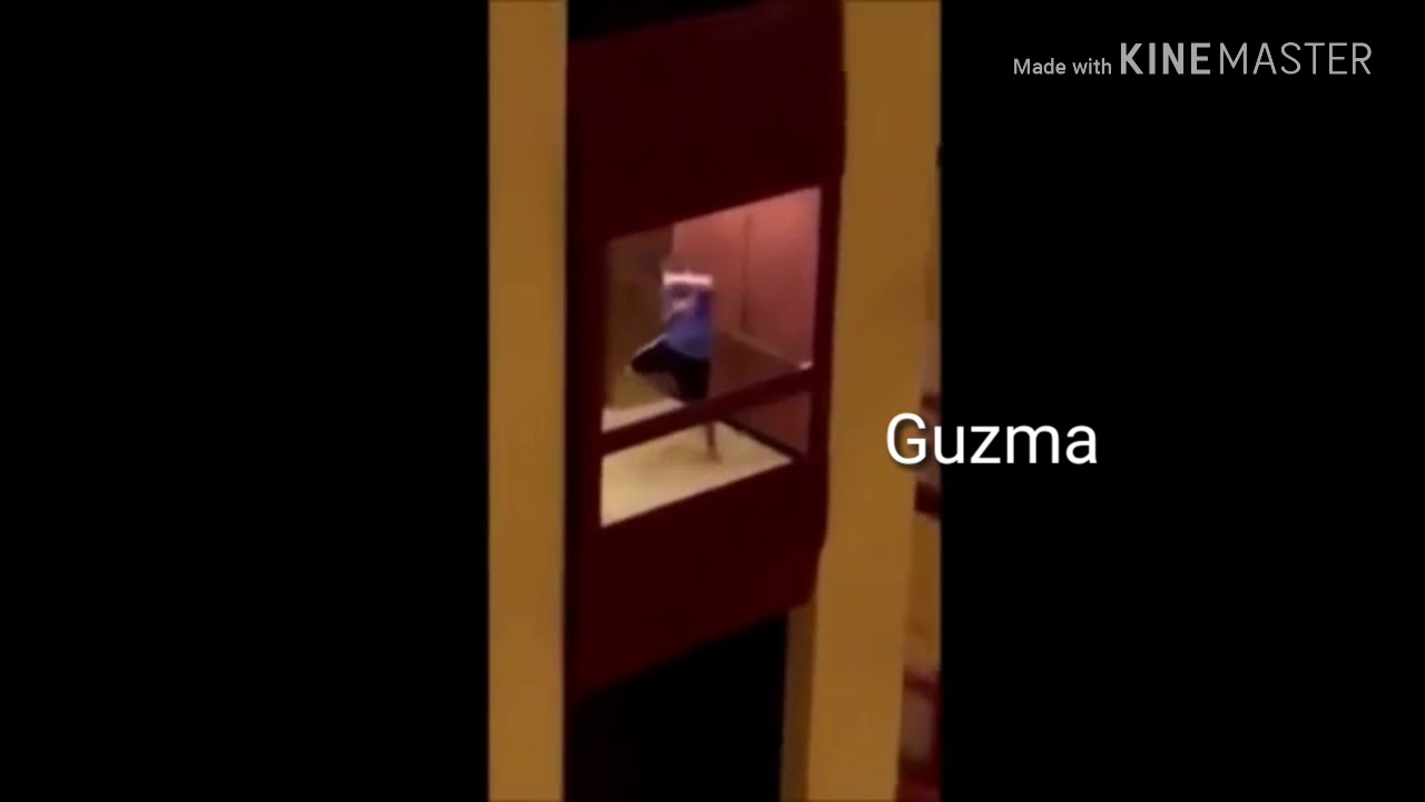 Pokemon Villains as Vines