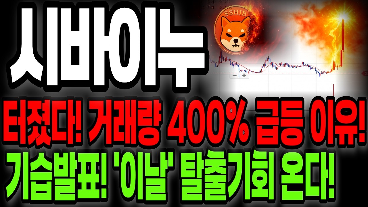 [시바이누 코인] 긴급! 재단 기습발표! 거래량 400% 급등 이유! '이날' 역대급 호재 온다?! - YouTube