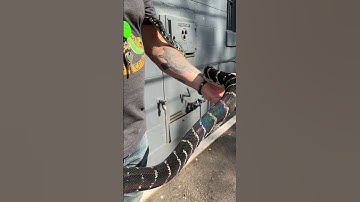 Beautiful Rainbow Snake Shines 🐍 🌈