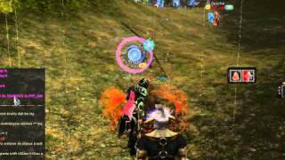 pvp.avi