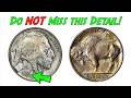 Are Old Buffalo Nickel Coins Worth Money? Yes, Oh Yes