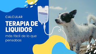 ¡¡¡CALCULA TERAPIA DE LIQUIDOS EN PERROS Y GATOS FACIL!!! screenshot 5