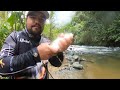 pescando en ríos de Mistrató Risaralda