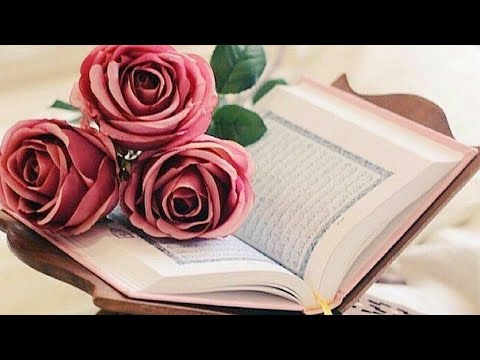 خلفيات وصور مصحف القرآن الكريم التحميل في صندوق الوصف 