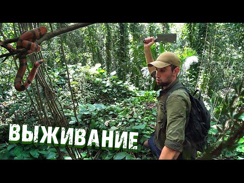 Видео: Выживание на Сейшелах тропических джунглях Часть -1 На необитаемом острове