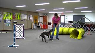 Flash- Short Agility Sequences