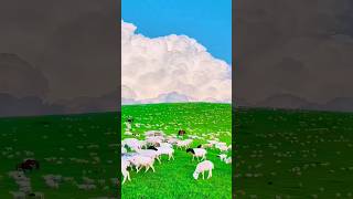 Places On Earth That Don’t Feel Real #shorts #travel #nature