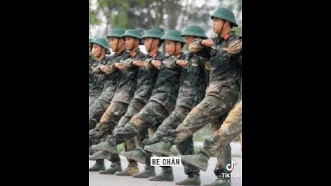 11 chế độ trong ngày