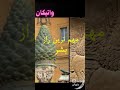 چشم سوم مهم ترین راز مسکوت شده بشر