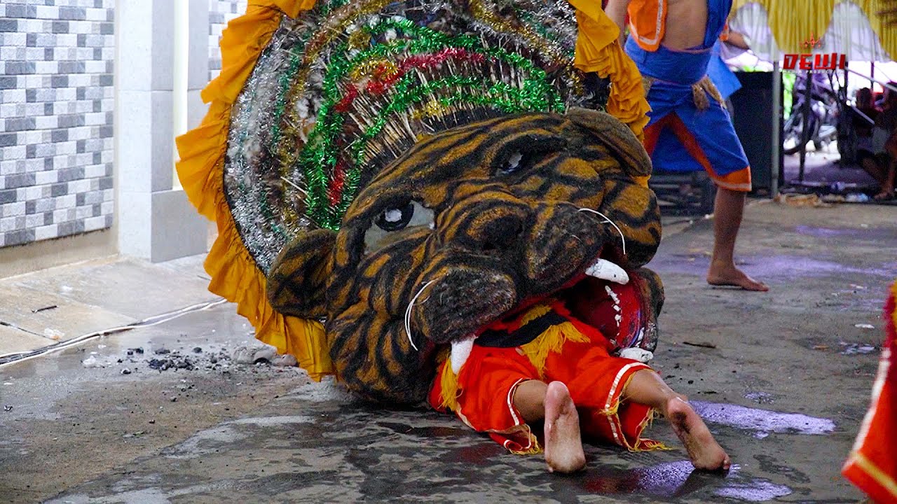 SINGO BARONG YUDHO TURONGGO DEMAK / KHITANAN SEPTIYA ARYA SAPUTRA / KALIPUCANG WETAN JEPARA