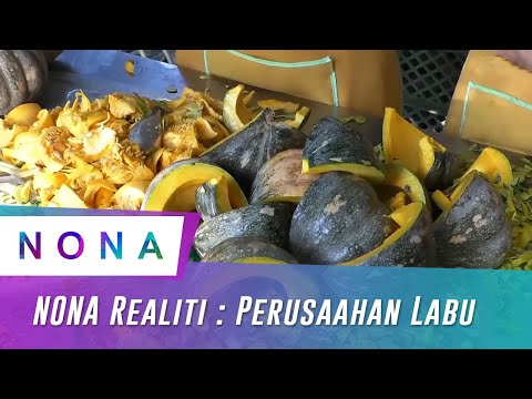 Video: Maklumat Menuai Labu - Petua Untuk Menuai Dan Menyimpan Labu