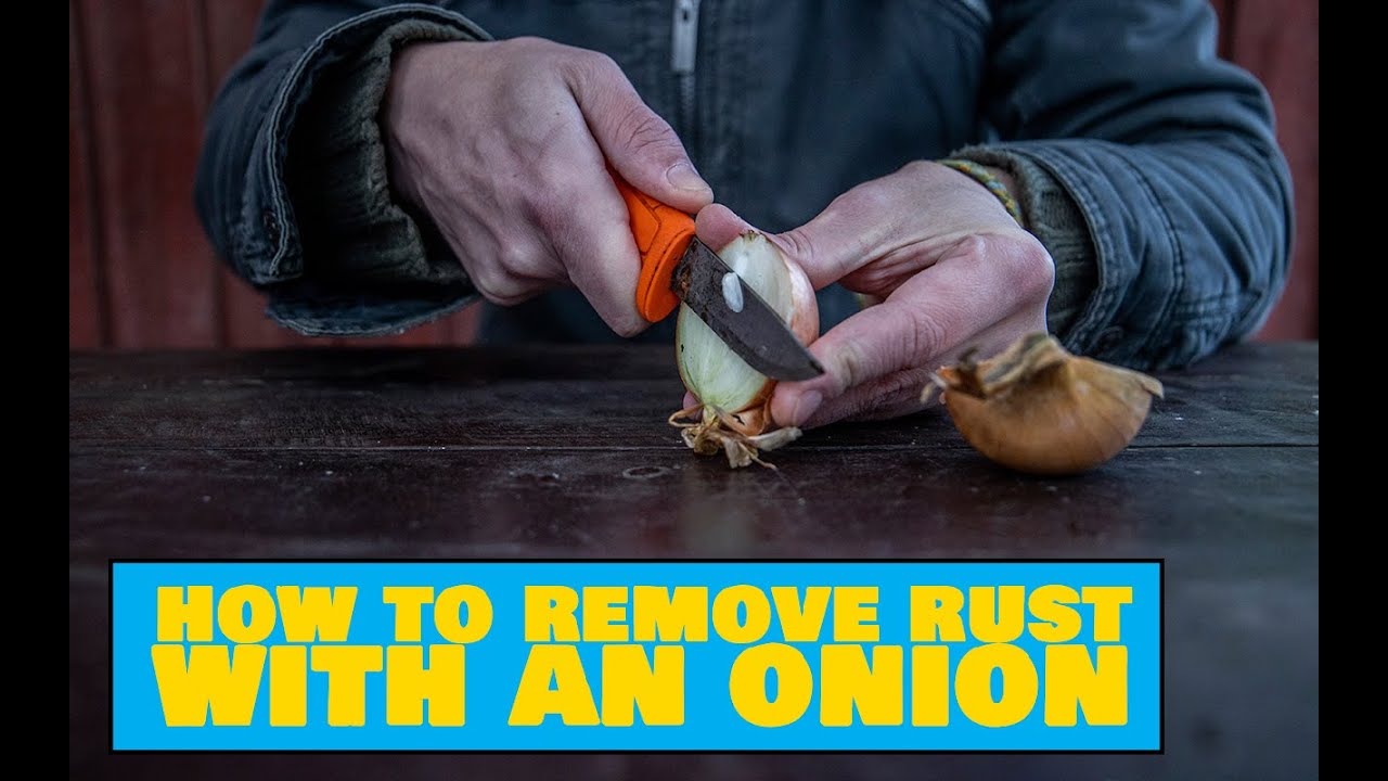 Onion Root Rust How to Remove Rust With Onion – Easy Outdoors Camping Tips - YouTube