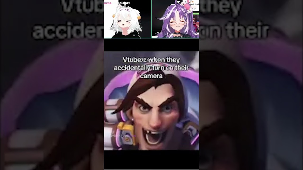 vtubers when they accidentally turn on their camera