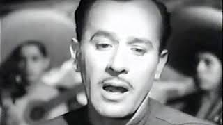 PEDRO INFANTE AMOR DE MIS AMORES con letra en Ingles