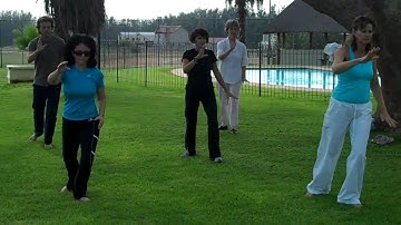 Yang Cheng Fu Part 1 - www.sataichi.co.za