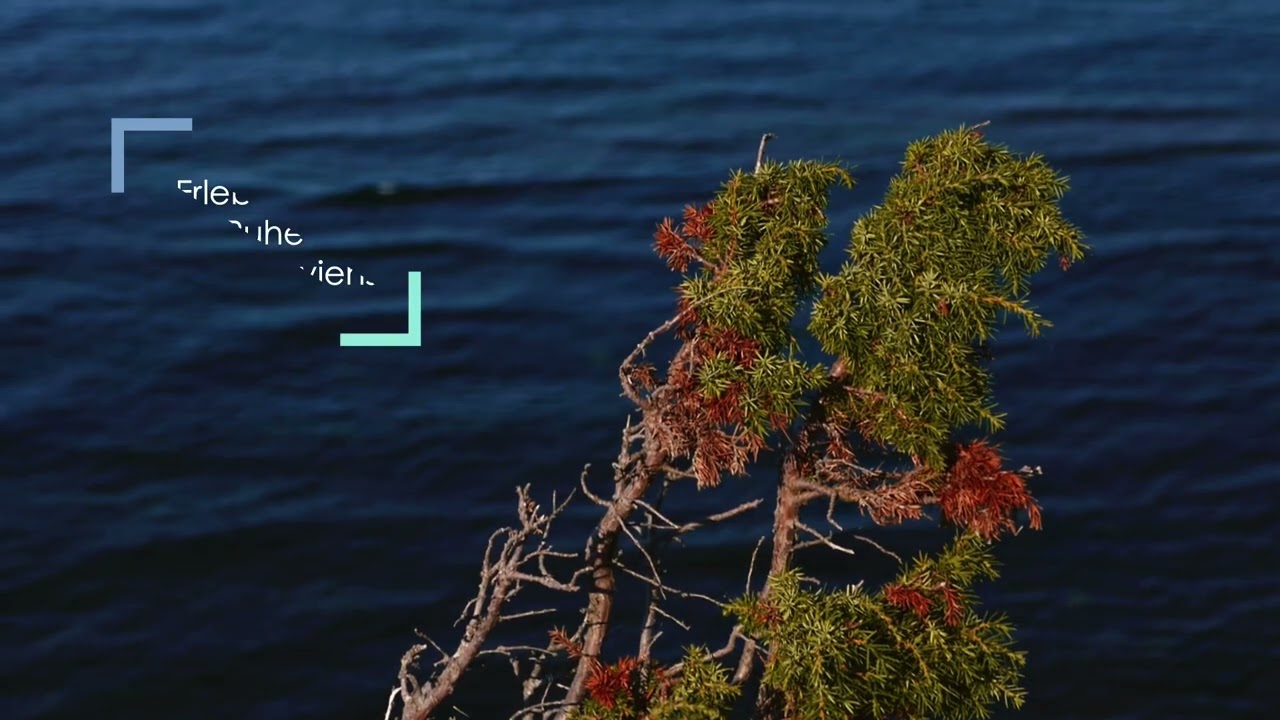 Sailing Northern Europe with 