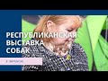 Республиканская выставка собак всех пород в Витебске