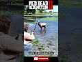 Survive#ytshorts #ytshort #shortfeed #shorts #viral #shortsvideo #ytshortsvideo#rdr2online