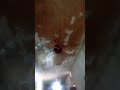 pankha chale to hawa deta he #athelets #funny #funny l