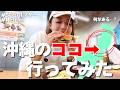 【沖縄移住】沖縄北部って何があるの？道の駅巡り・ヤンバルクイナ【シングルマザー】