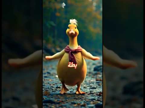 اهداء لكل بطة احمد سعد