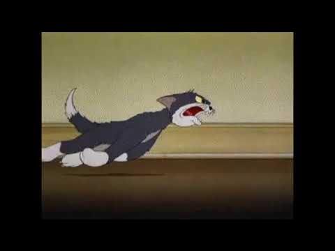 кот том убегающий. кот том убегающий. том и джерри том гонится за джерри. кот том убегающий. том и джерри.