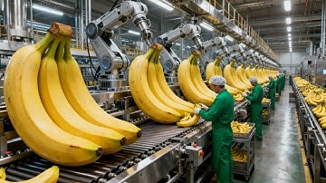 Inside a Factory From Harvest to Pack — The Making of Dried Bananas Full Process