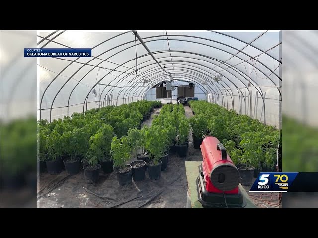 Oklahoma Bureau of Narcotics battles foreign mafia groups growing