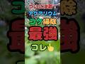 【99%しらない！】水槽のコケをどうにかしたいならこれを使え！　#アクアリウム #aquarium #メダカ #熱帯魚 #水槽 #金魚