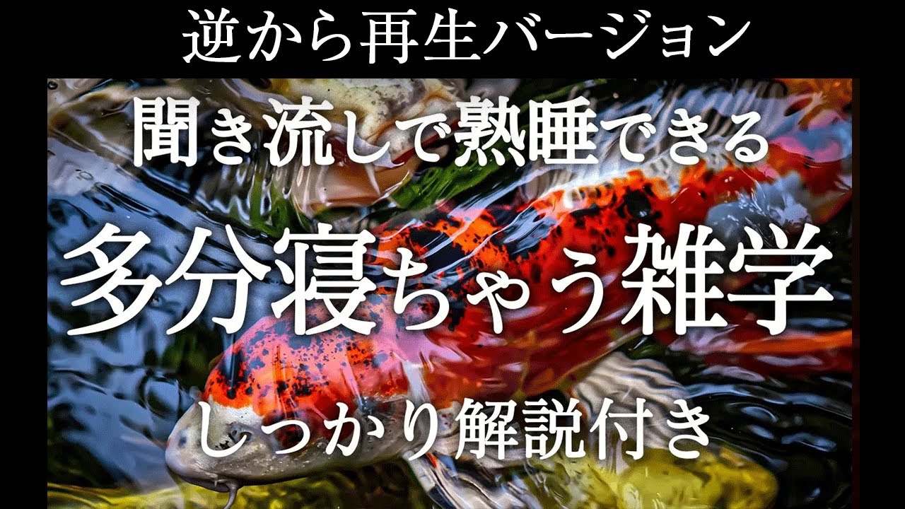 【逆から再生】多分寝ちゃう雑学【睡眠導入】しっかり解説付き♪