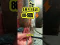 🔥 How to Weld a PERFECT ROOT in Vertical Upward (E6010)