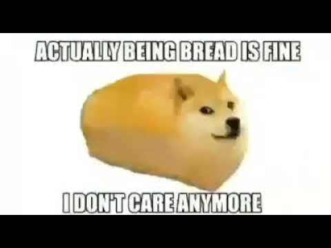 Doge Turns Into BREAD