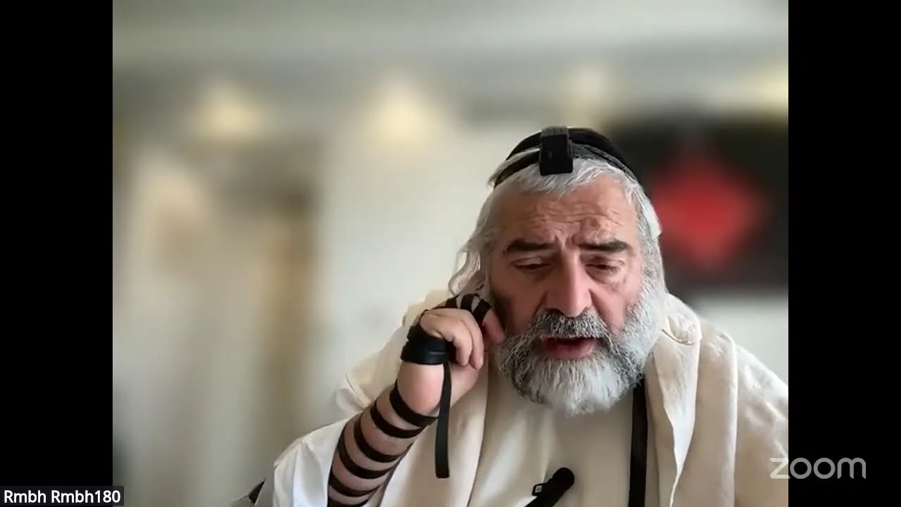 Daf HaYomi - Zevahim 71