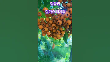 잘가요 내사랑 정동원 