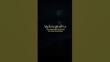قرآن كريم آية الكرسي ماهر المعيقلي #آية_الكرسي#ماهر_المعيقلي #قران_كريم