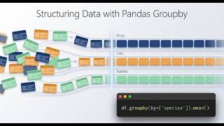 Master Pandas GroupBy: From Raw Data to Real Insights