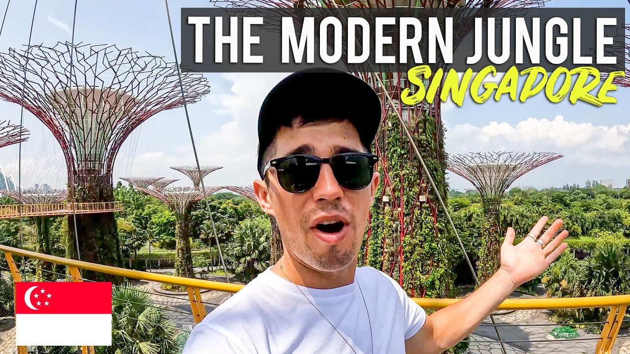 First Impressions of Singapore 🇸🇬 First Impressions of Singapore 🇸🇬