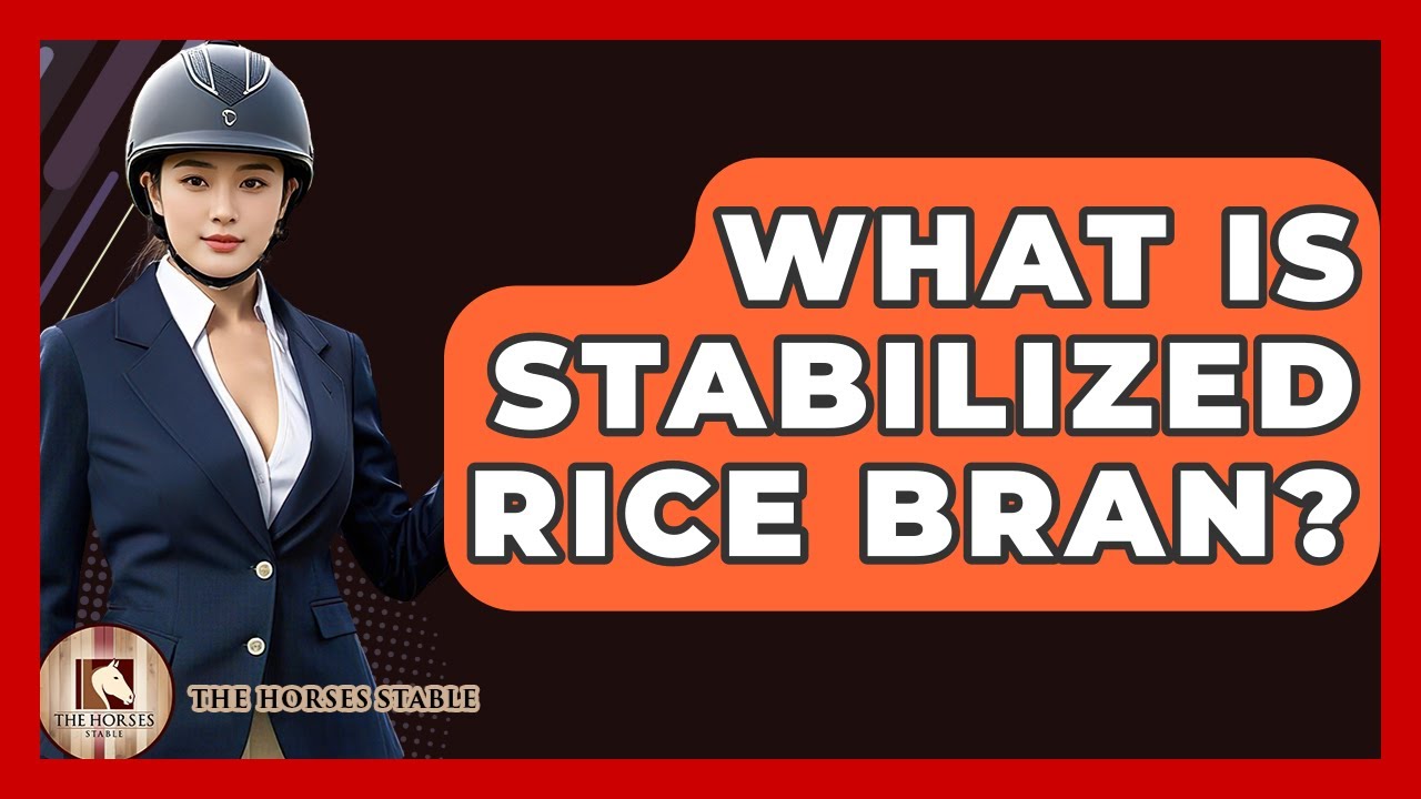 What Is Stabilized Rice Bran? - The Horses Stable